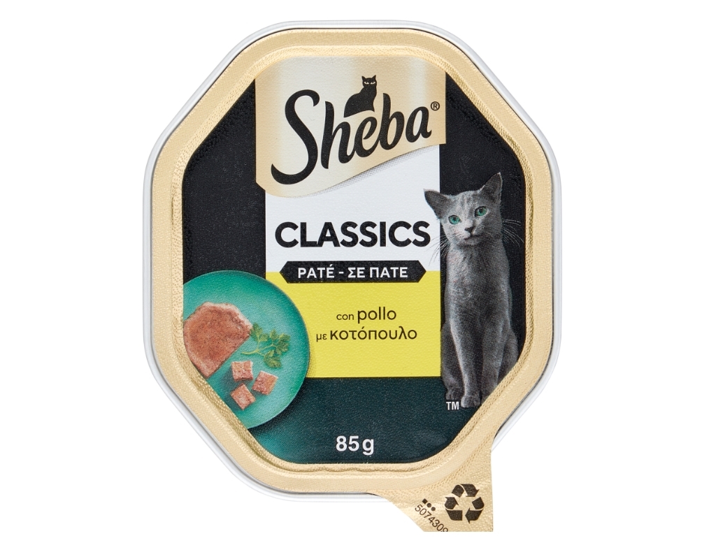 SHEBA POLLO