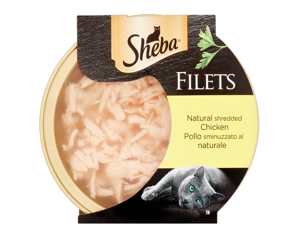 SHEBA POLLO
