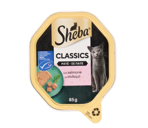 SHEBA SALMONE