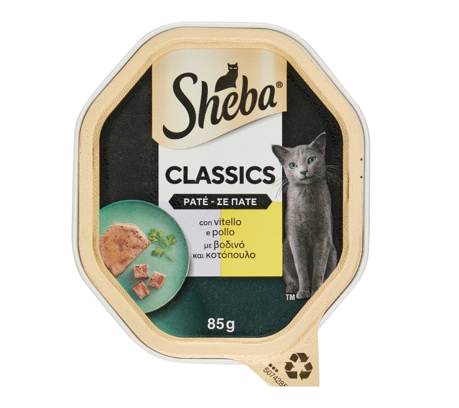 SHEBA VITELLO