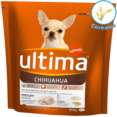 ULTIMA CROCCHETTE SPECIAL CHIHUAHUA