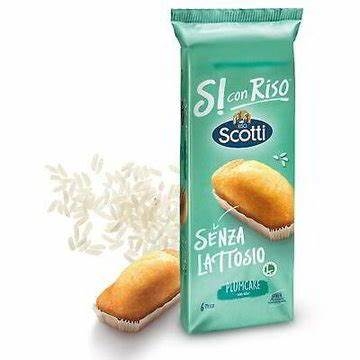 SCOTTI PLUMCAKE S/LATTOSIO