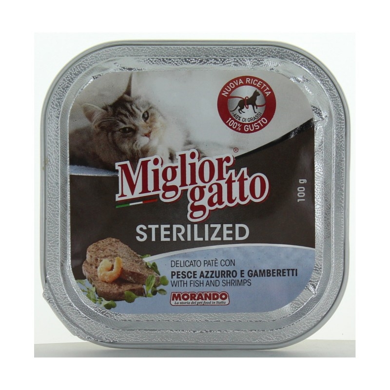 MIGLIOR GATTO PATE' 