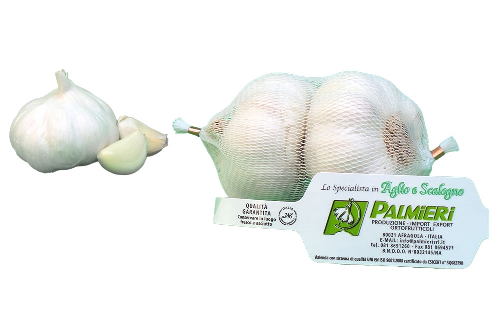 PALMIERI AGLIO IN RETE