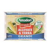 AMADORI UOVA X6