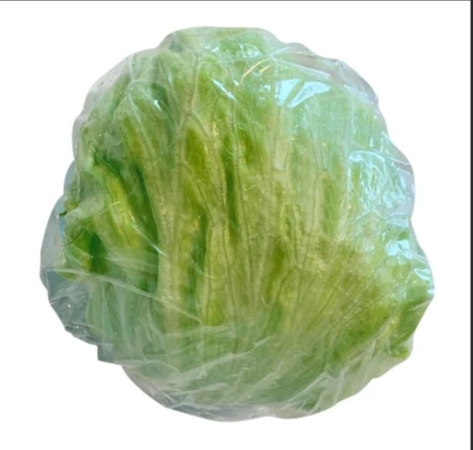 INSALATA ICEBERG